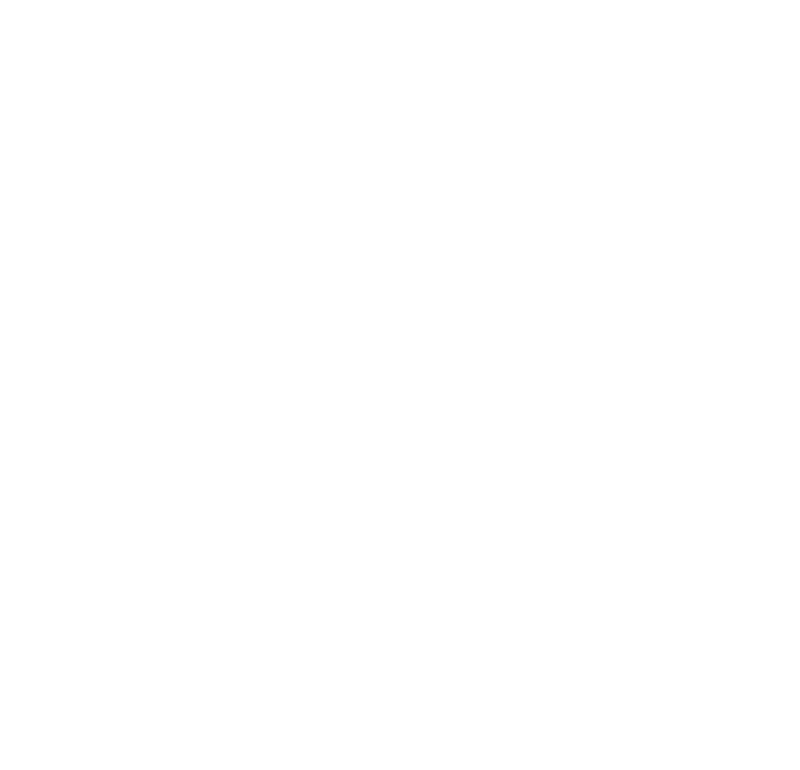 DSC Logo (White Inverse)